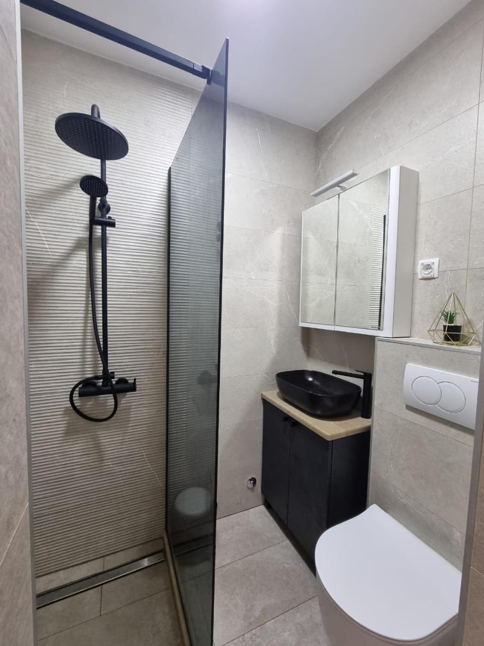 PetrovacValentina Apartmanアパートメント エクステリア 写真