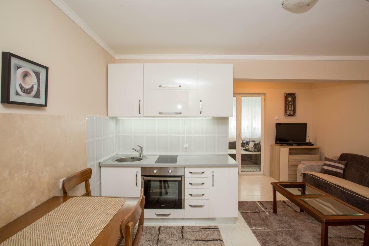 PetrovacValentina Apartmanアパートメント エクステリア 写真